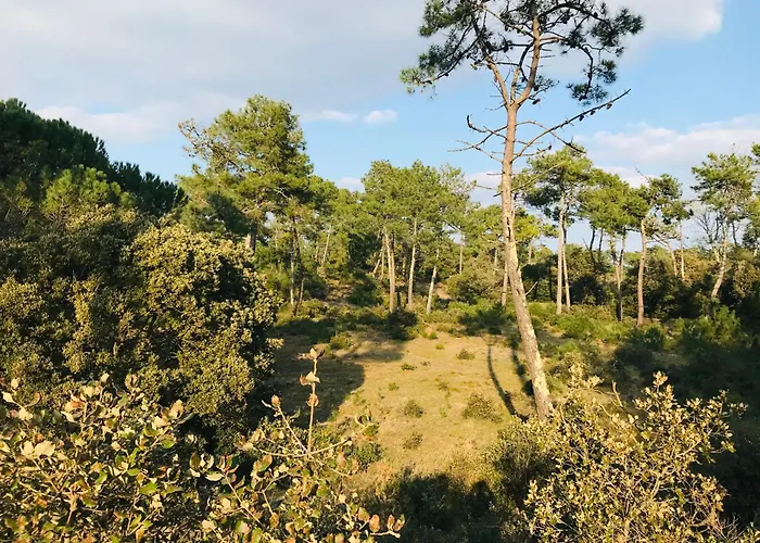 Casa de Férias Les Alouettes Centre Et *